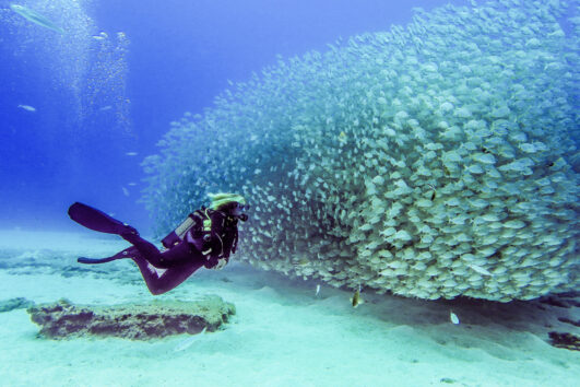 Diving