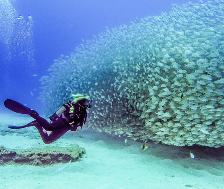 Diving