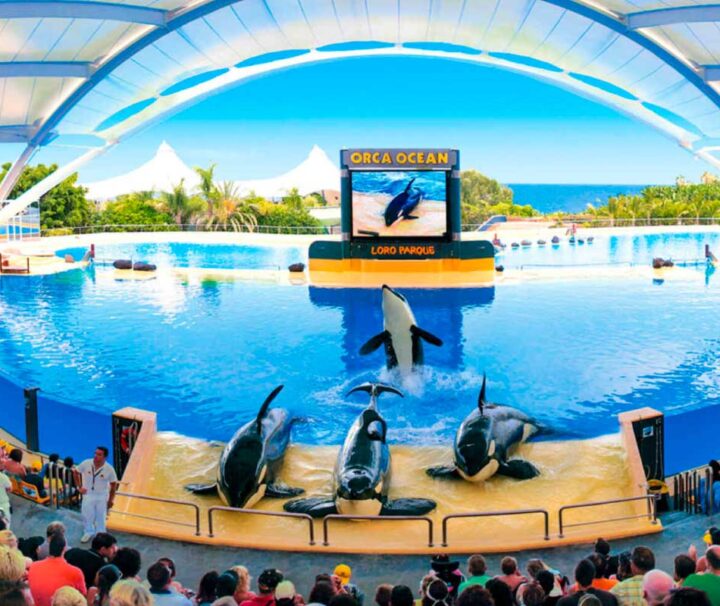 Loro Parque