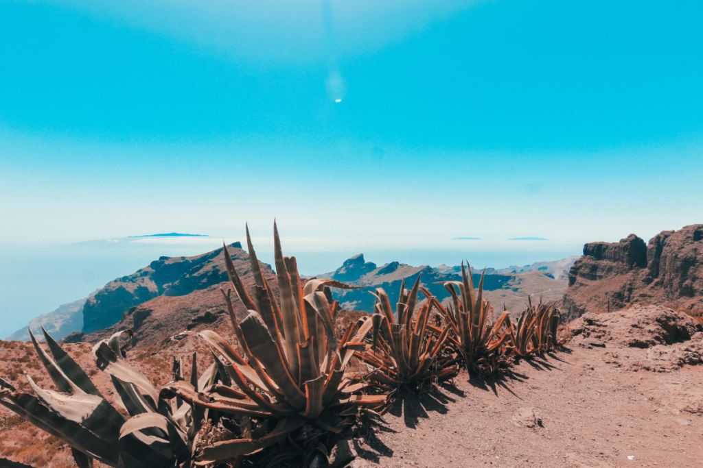 Tenerife, Isole Canarie